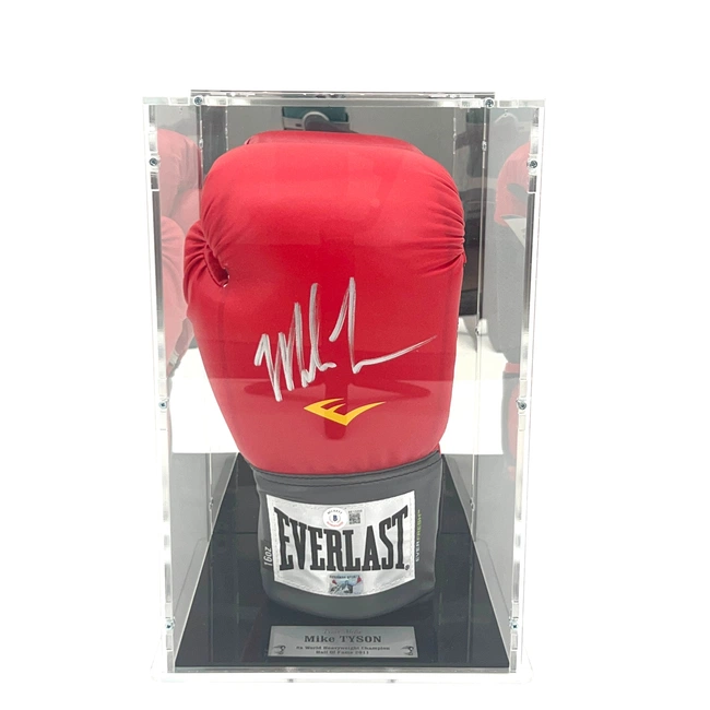 cover image of the auction item