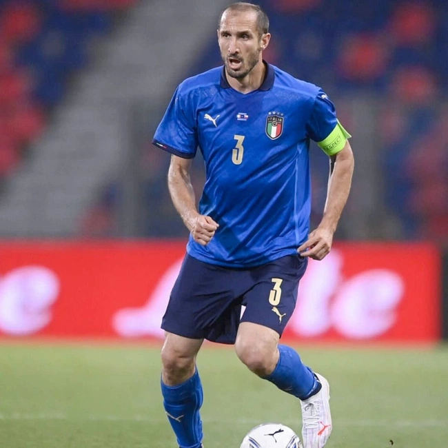 cover image of the auction item