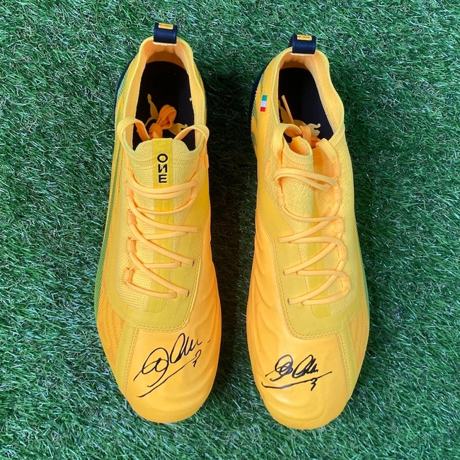 cover of the auction item