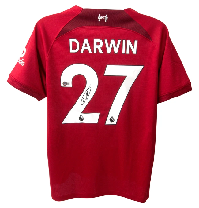 cover image of the auction item