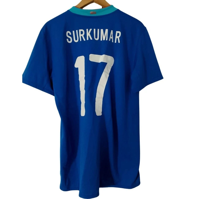 cover of the auction item