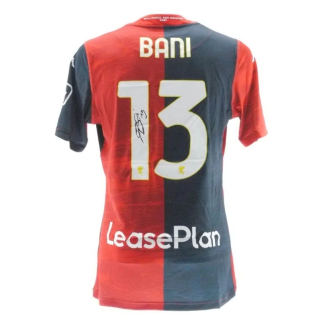 cover of the auction item