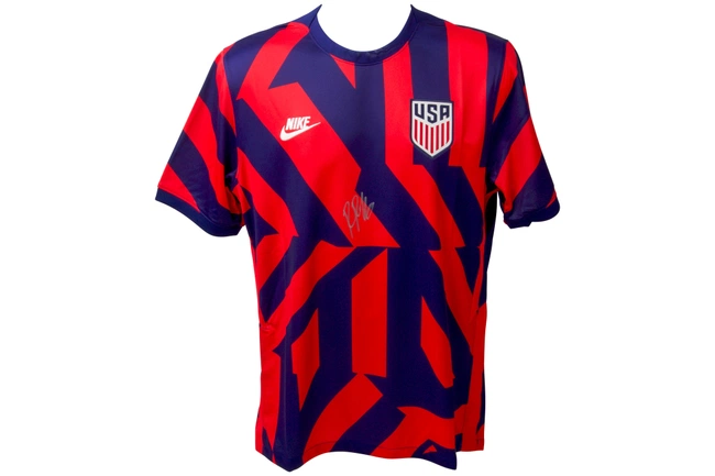 cover of the auction item