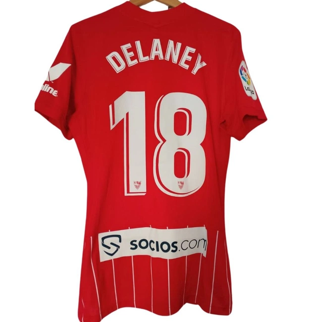 cover of the auction item