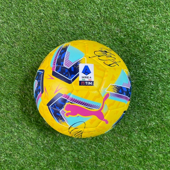 cover image of the auction item