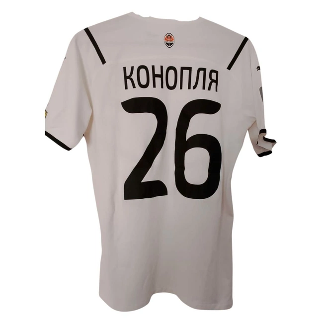 cover of the auction item