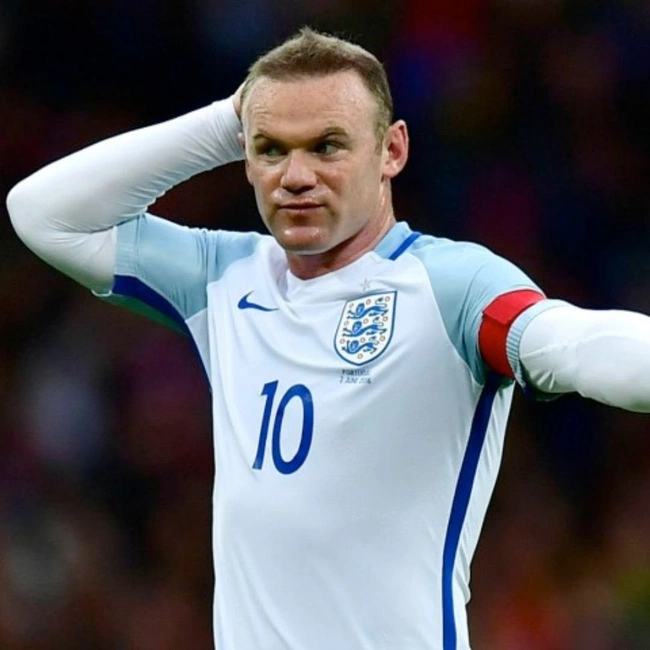 cover of the auction item