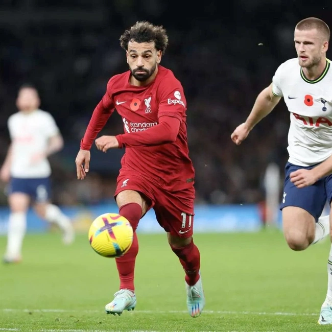 cover of the auction item