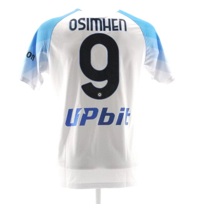 cover image of the auction item