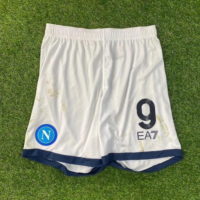 cover image of the auction item