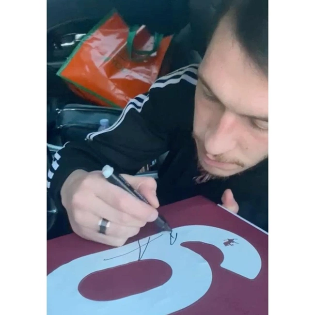 cover image of the auction item