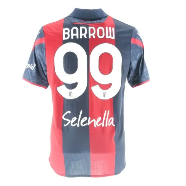 cover of the auction item