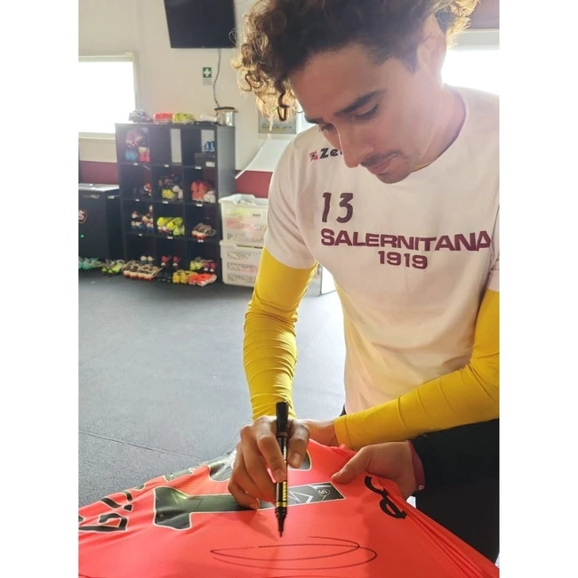 cover image of the auction item