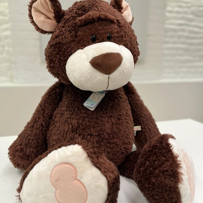 cover of the auction item