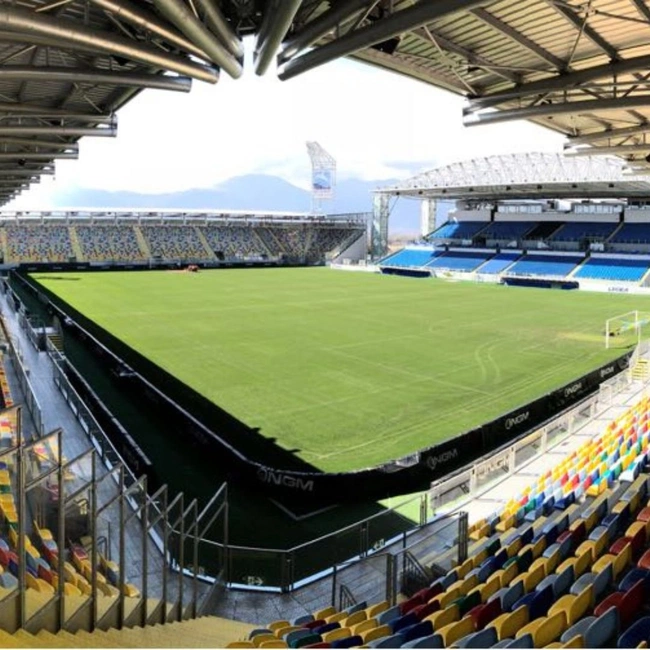 cover image of the auction item