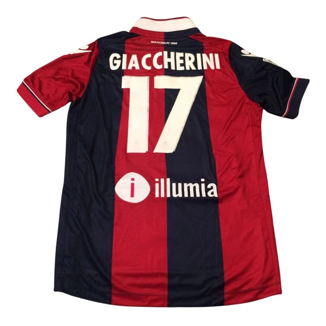 cover image of the auction item