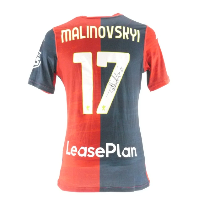 cover of the auction item