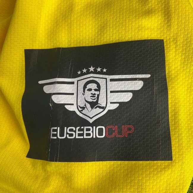 cover of the auction item