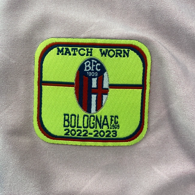 cover of the auction item