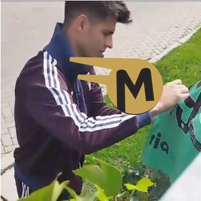 cover image of the auction item