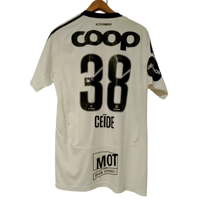 cover image of the auction item