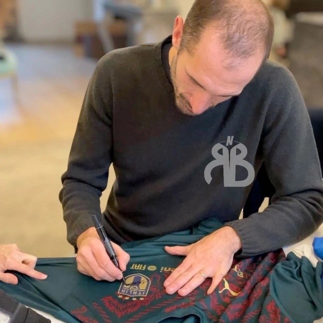 cover of the auction item