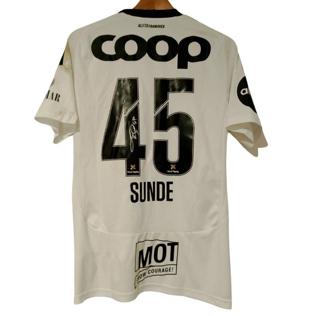 cover image of the auction item