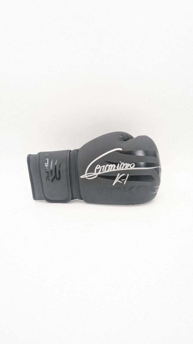 cover image of the auction item