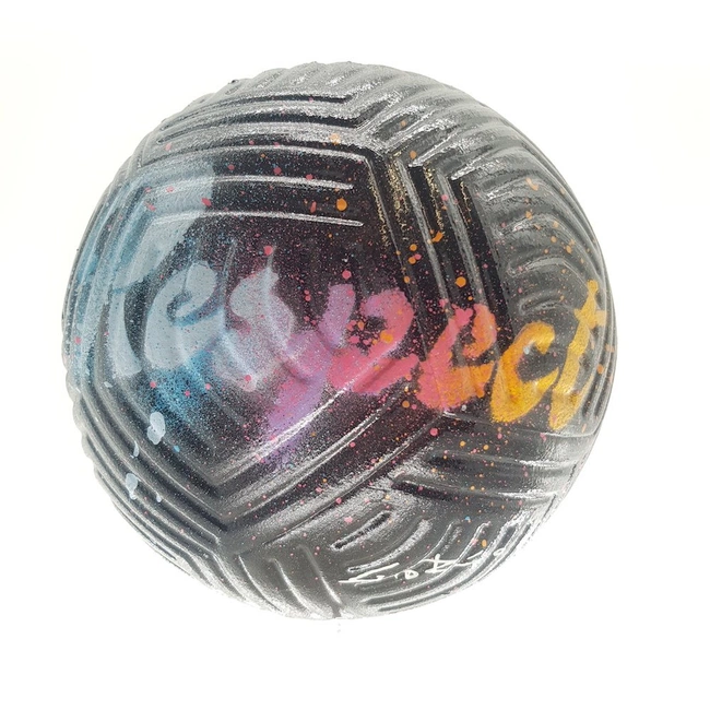 cover of the auction item