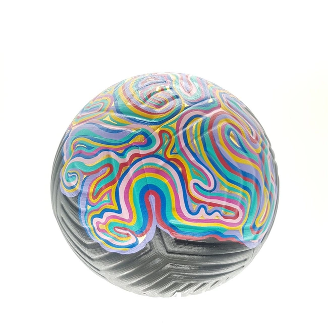 cover of the auction item