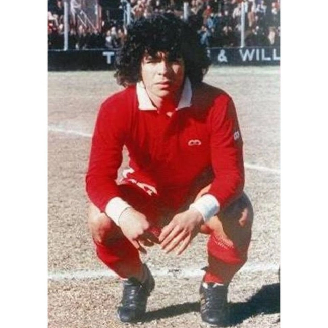 cover image of the auction item