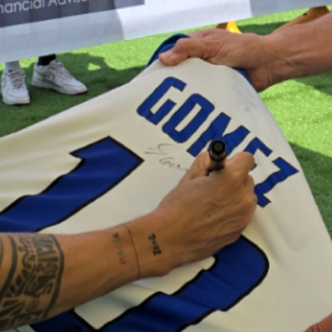 cover image of the auction item