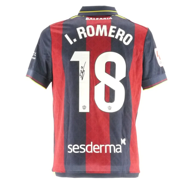 cover of the auction item