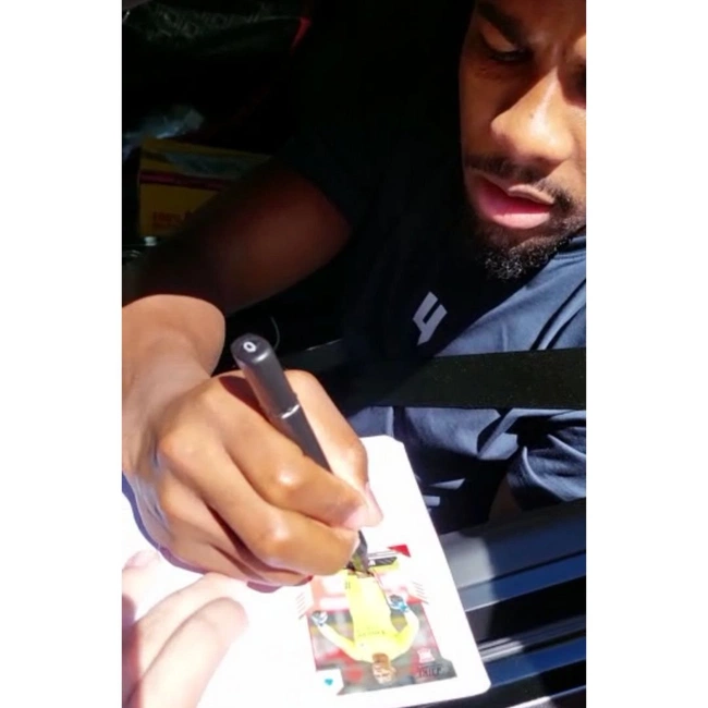 cover image of the auction item