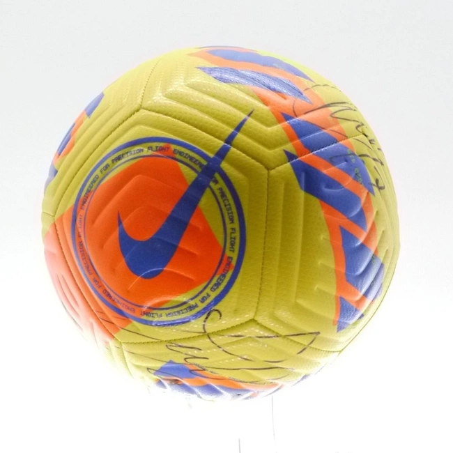 cover image of the auction item