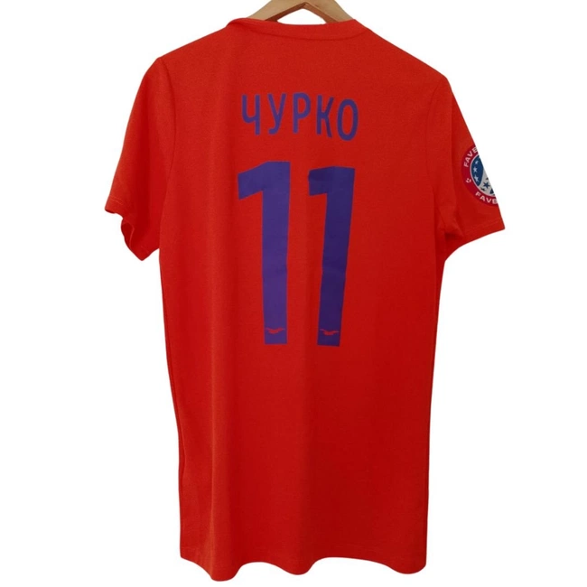 cover of the auction item