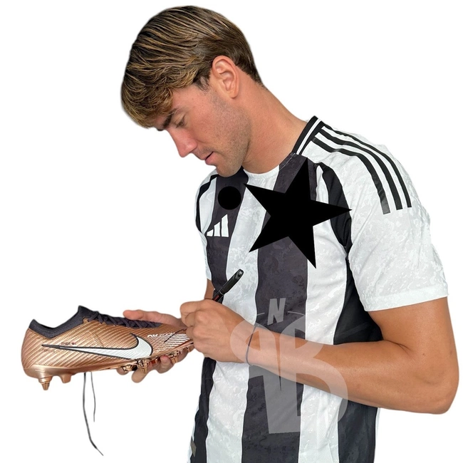 cover of the auction item