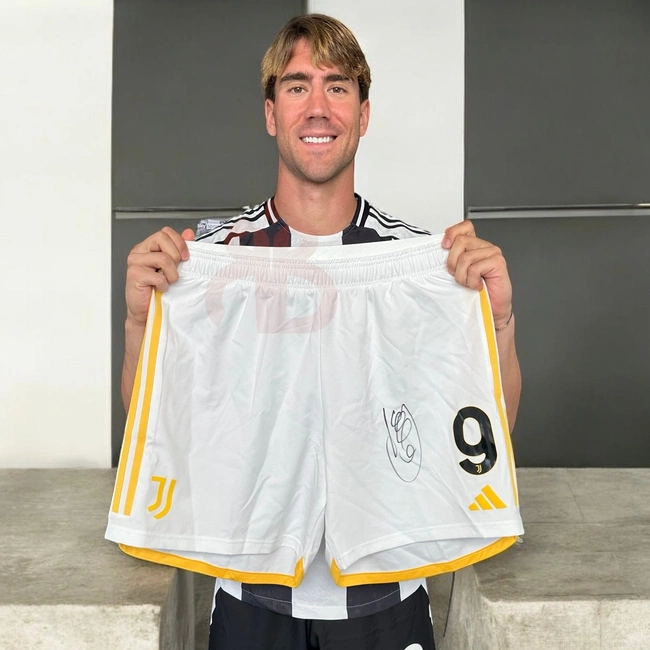 cover of the auction item