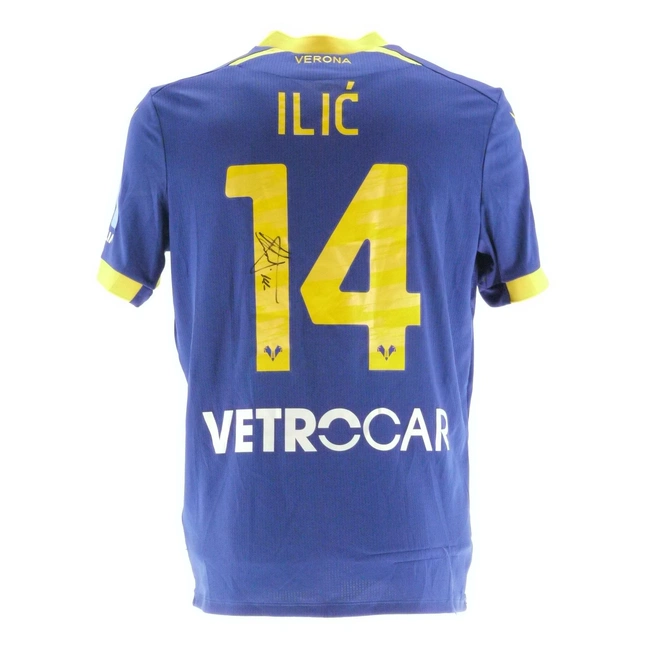 cover of the auction item