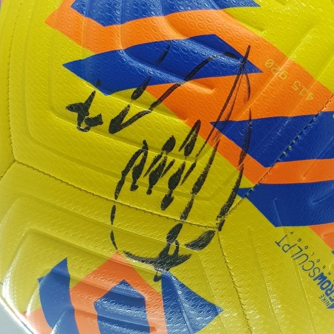 cover image of the auction item