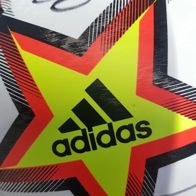 cover image of the auction item