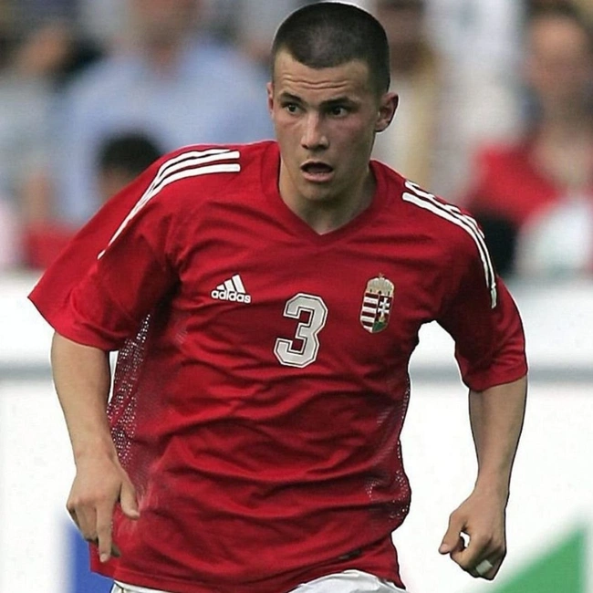 cover of the auction item