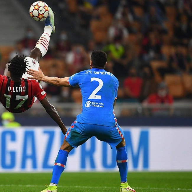 cover of the auction item