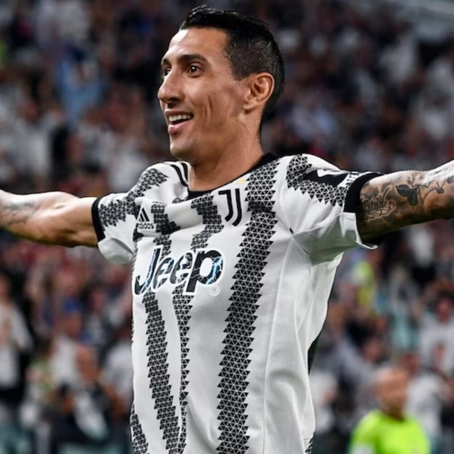 cover of the auction item