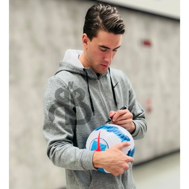 cover image of the auction item