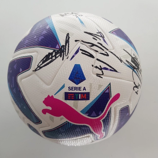 cover image of the auction item