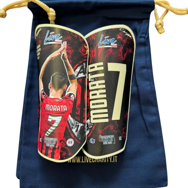 cover of the auction item