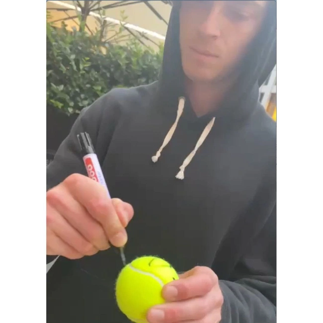 cover image of the auction item