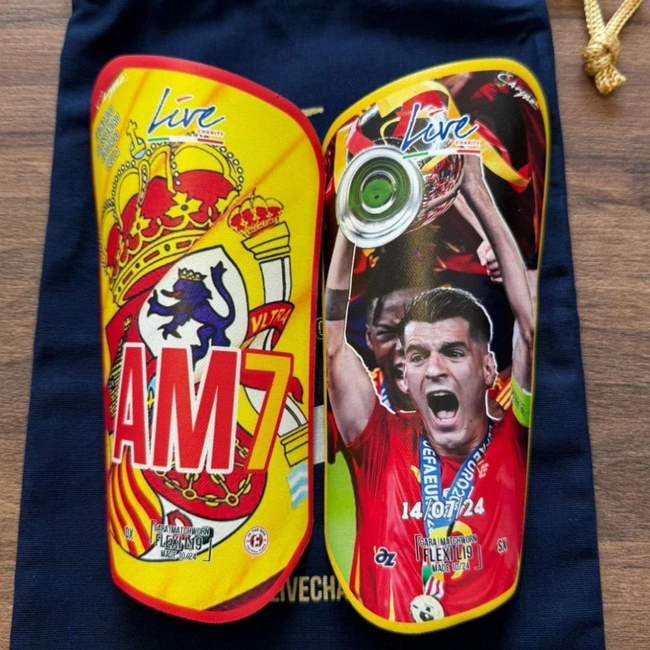 cover of the auction item