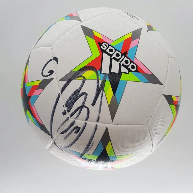 cover image of the auction item